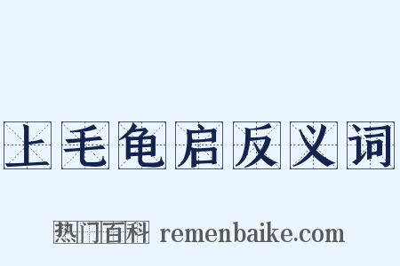 上毛龟启反义词是什么意思的图片